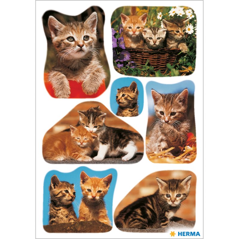 HERMA Autocollants DECOR "Photos de chats"