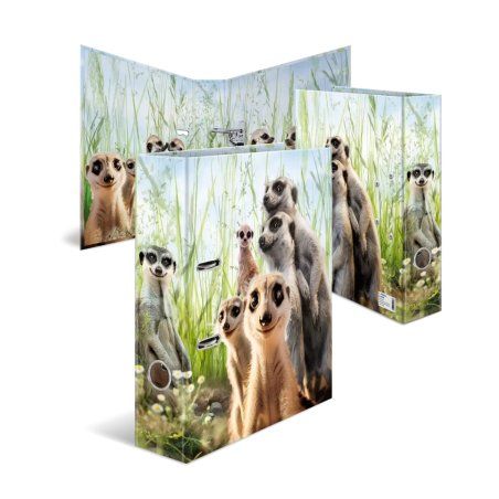 HERMA 20048 ring binder A4 Multicolour