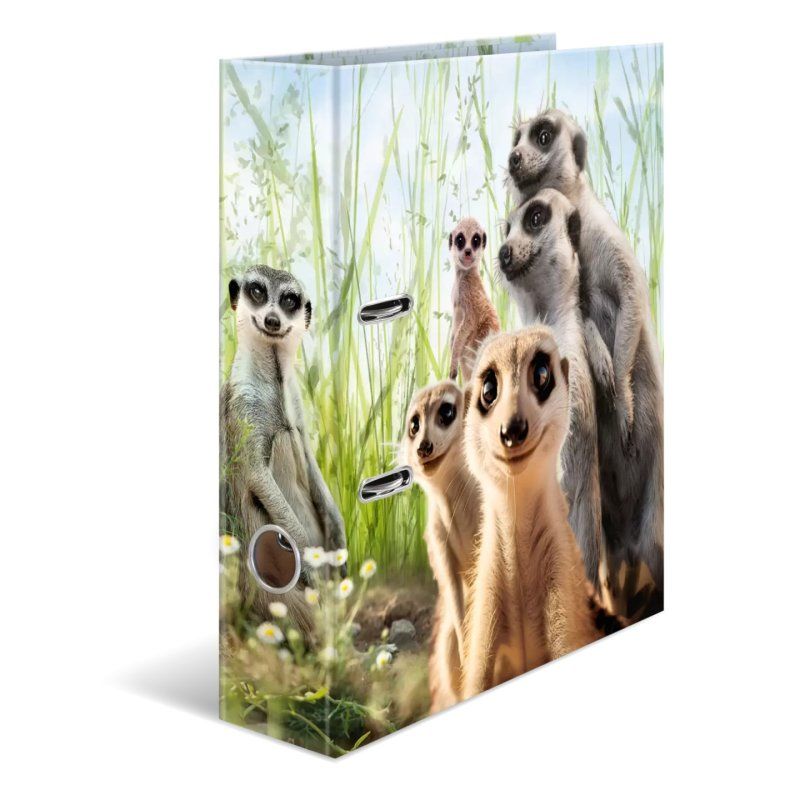 HERMA 20048 ring binder A4 Multicolour