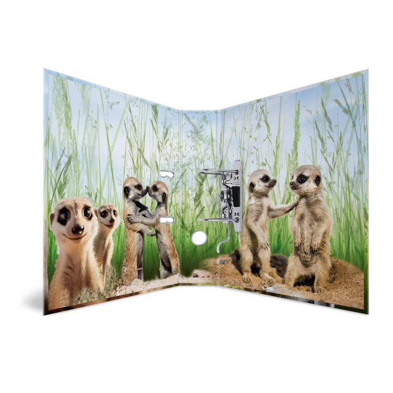 HERMA 20048 ring binder A4 Multicolour