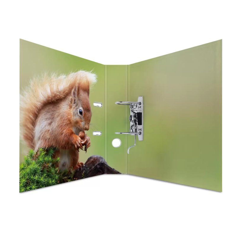 HERMA 7202 classeur à anneaux A4 Multicolore