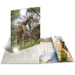 HERMA 19322 folder Polypropylene (PP) Multicolour A4