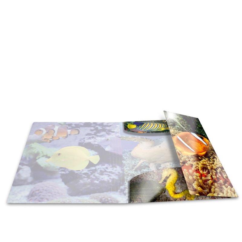 HERMA 19324 folder Polypropylene (PP) Multicolour A4