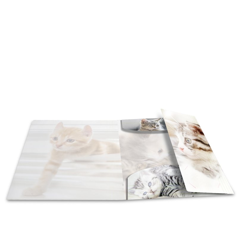 HERMA 19328 folder Polypropylene (PP) Multicolour A4