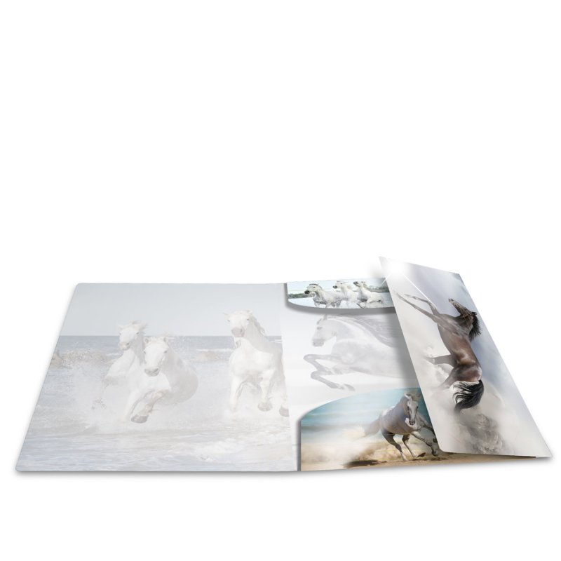 HERMA 19329 folder Polypropylene (PP) Multicolour A4