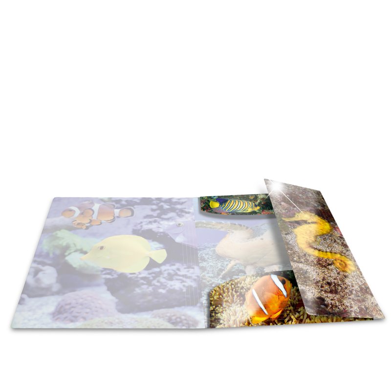 HERMA 19334 fichier Polypropylène (PP) Multicolore A3