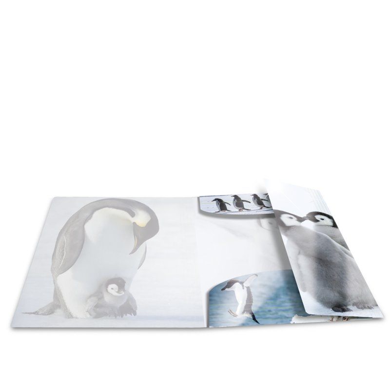 HERMA 19335 folder Polypropylene (PP) Multicolour A3