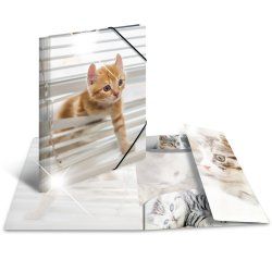 HERMA 19337 folder Polypropylene (PP) Multicolour A3