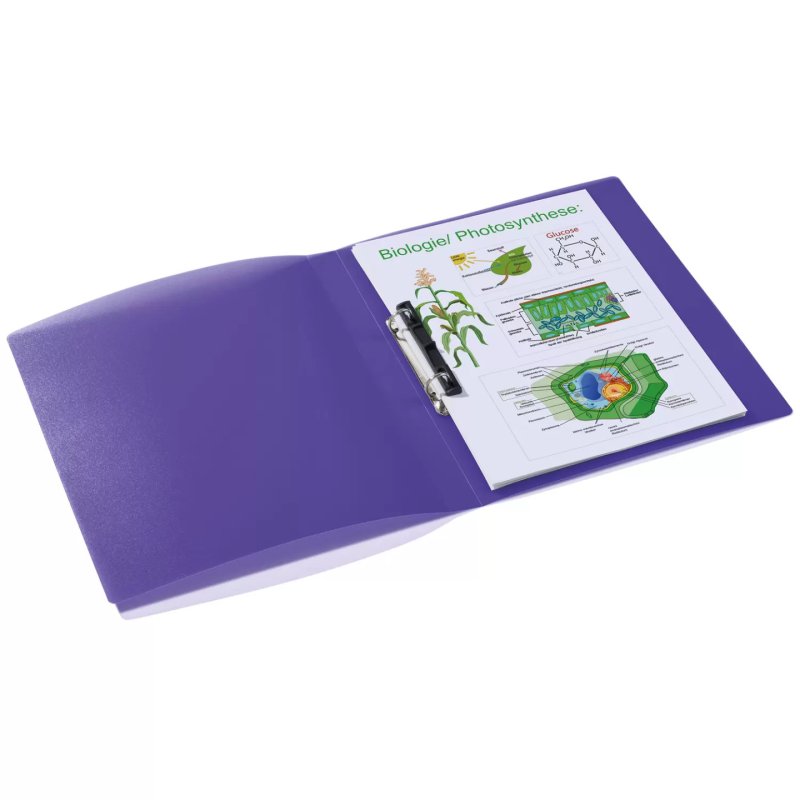 HERMA 19183 ring binder A4 Violet