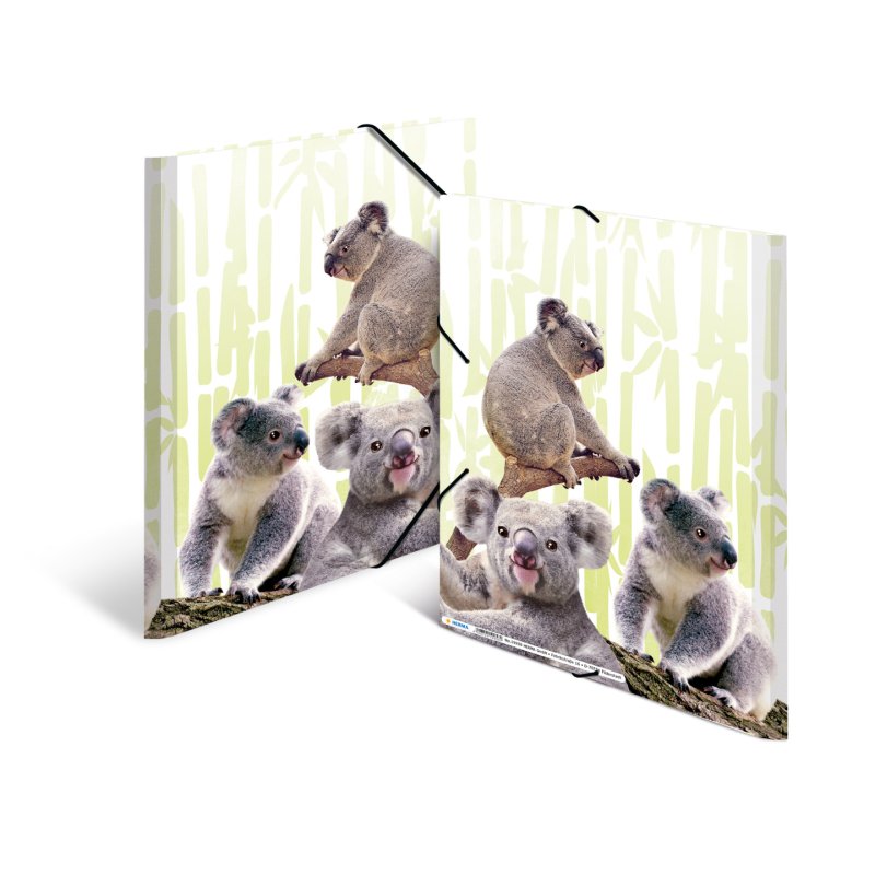 HERMA Chemise à élastiques Animaux exotiques, A4, koalas