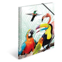 HERMA Tropical clique Polypropylene (PP) Multicolour A4