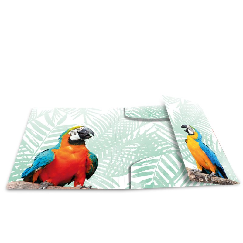 HERMA Tropical clique Polypropylene (PP) Multicolour A4