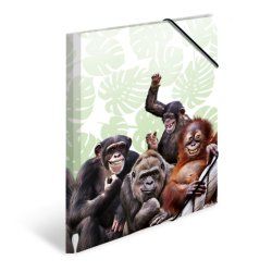 HERMA bande de singes