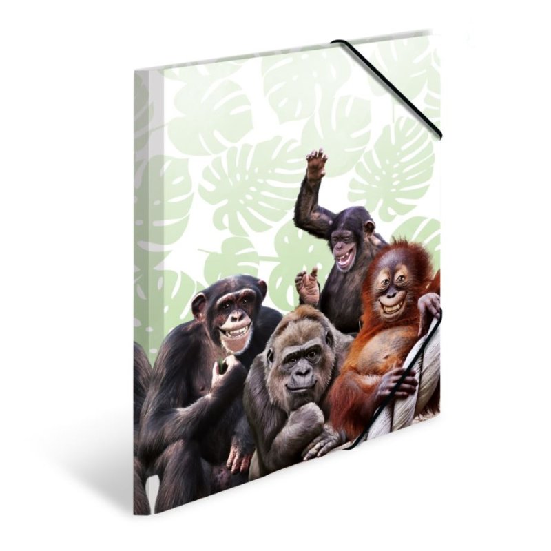 HERMA bande de singes