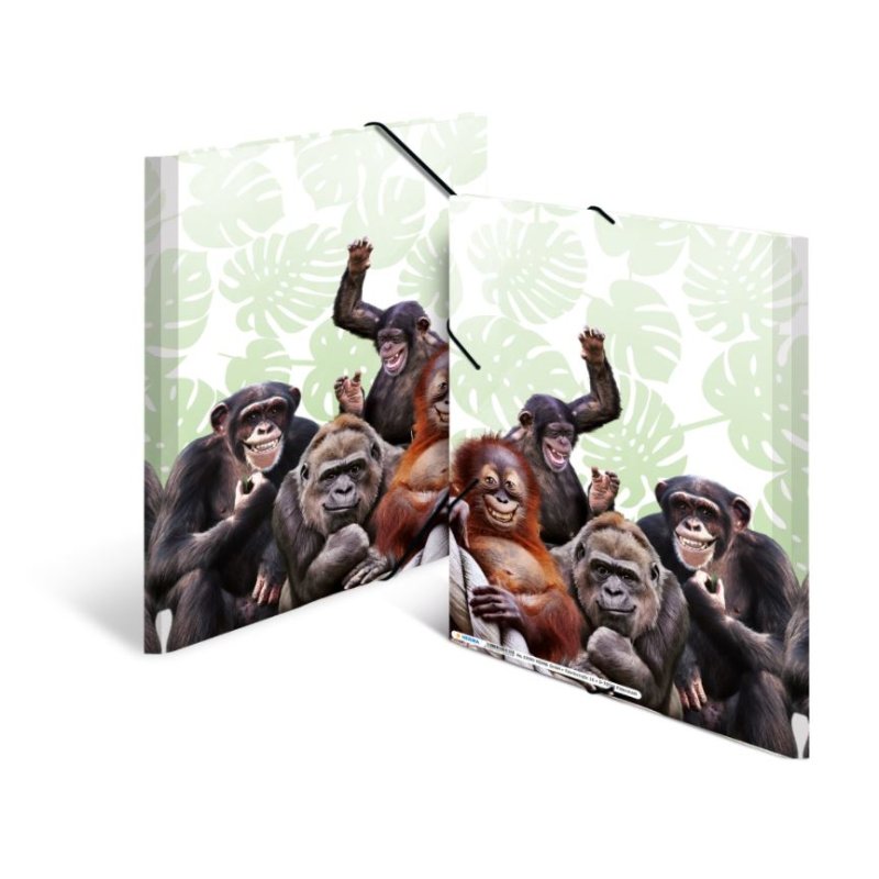 HERMA Chemise à élastiques Animaux exotiques, A4, singes