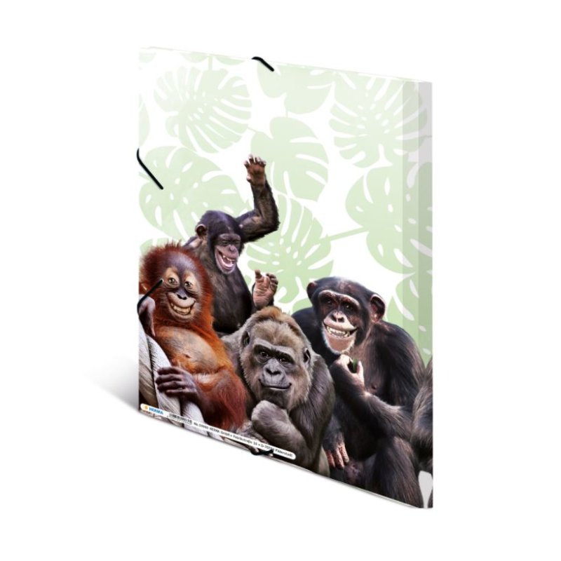 HERMA bande de singes