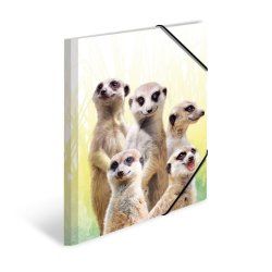 HERMA bande de suricates
