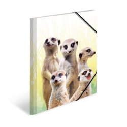 HERMA Chemise à élastiques Animaux exotiques, A4, suricates