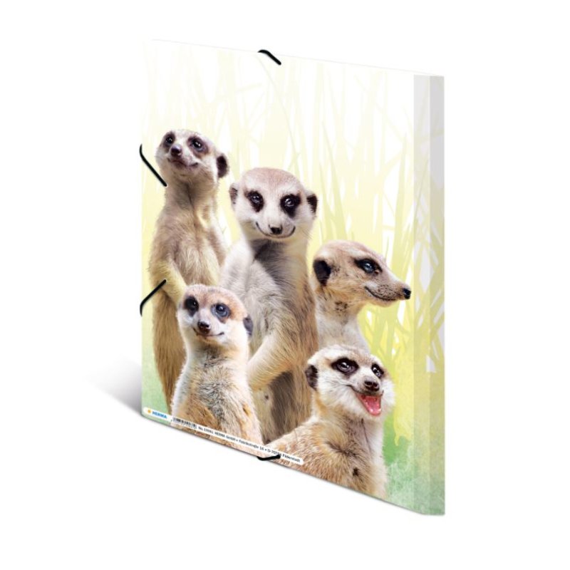 HERMA bande de suricates