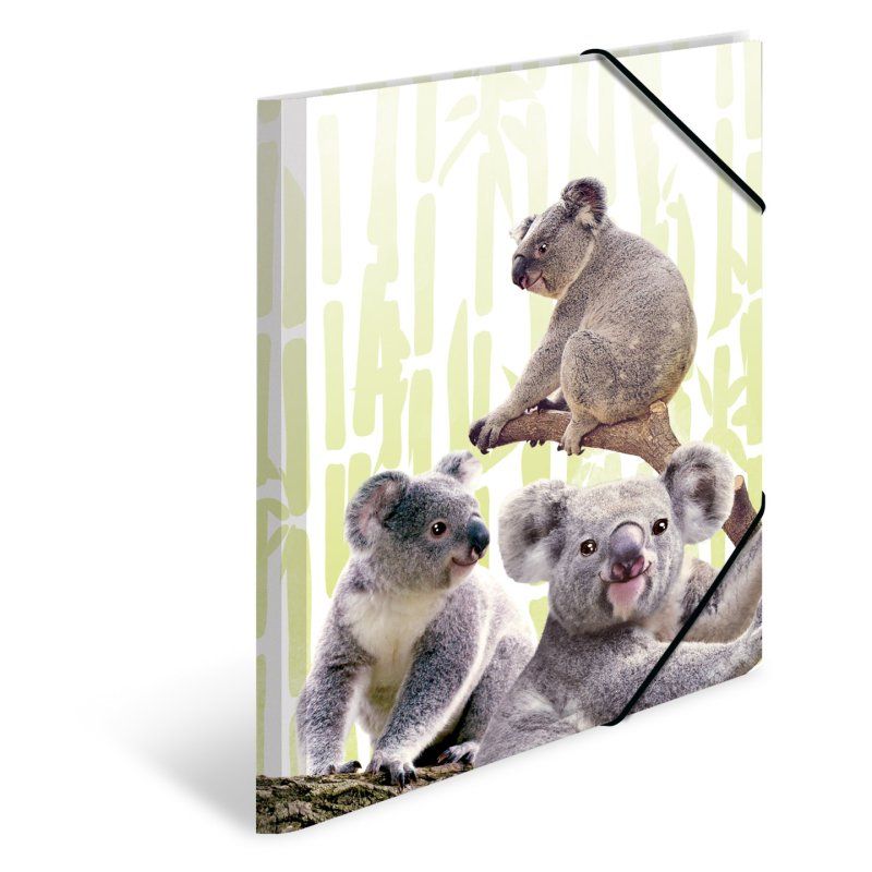 HERMA Chemise à élastiques Animaux exotiques, A3, koalas