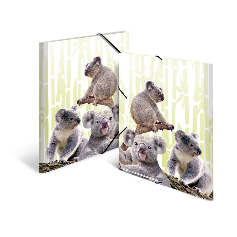 HERMA Famille de koalas