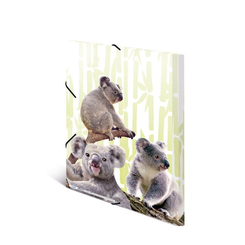 HERMA Koalafamily Polypropylene (PP) Multicolour A3