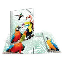 HERMA Tropical clique Polypropylene (PP) Multicolour A3