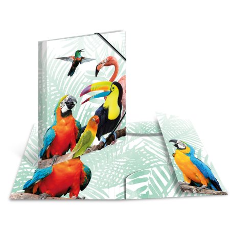 HERMA Bande tropicale