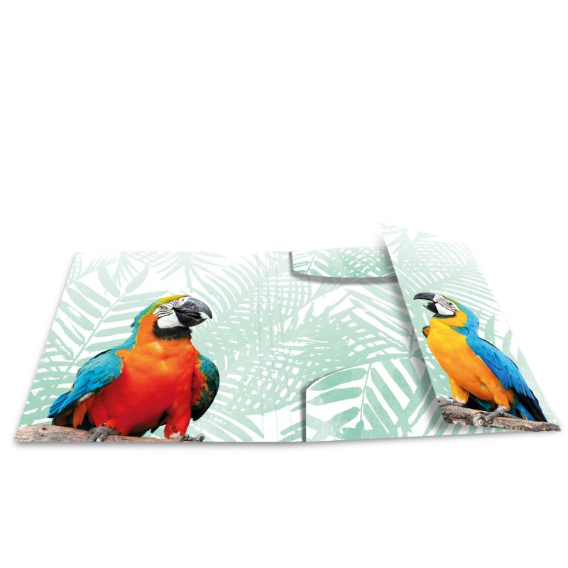 HERMA Bande tropicale