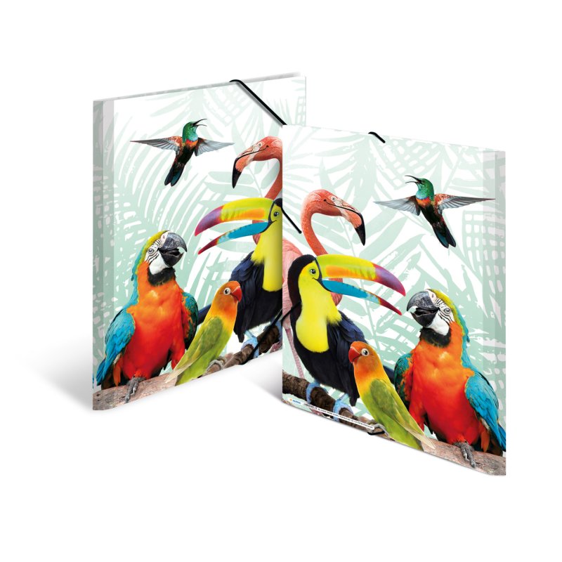 HERMA Tropical clique Polypropylene (PP) Multicolour A3