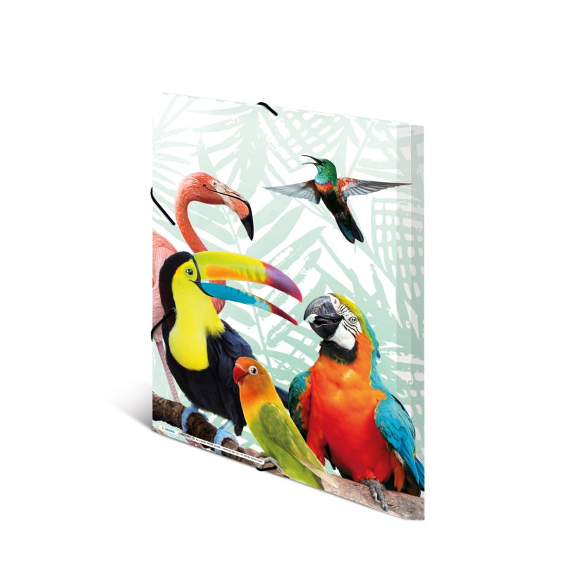 HERMA Tropical clique Polypropylene (PP) Multicolour A3