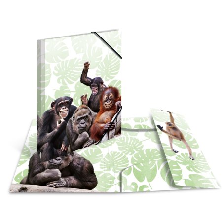 HERMA Chemise à élastiques Animaux exotiques, A3, singes