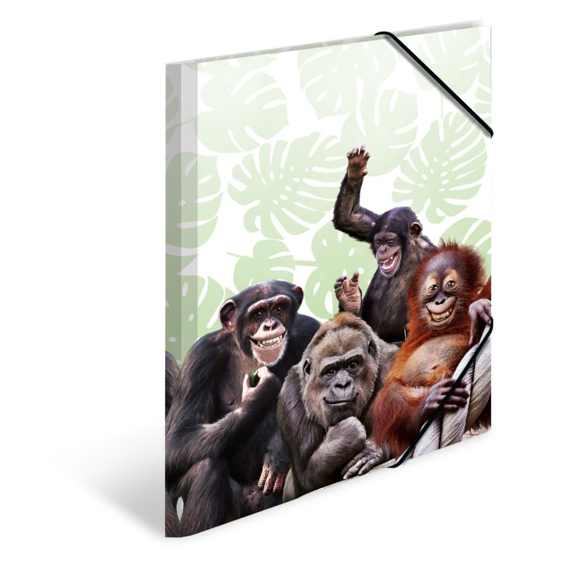 HERMA Chemise à élastiques Animaux exotiques, A3, singes