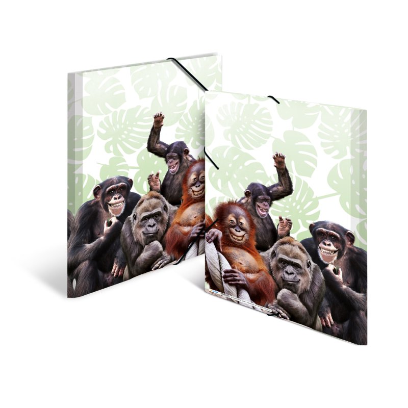 HERMA Monkey gang Polypropylene (PP) Multicolour A3