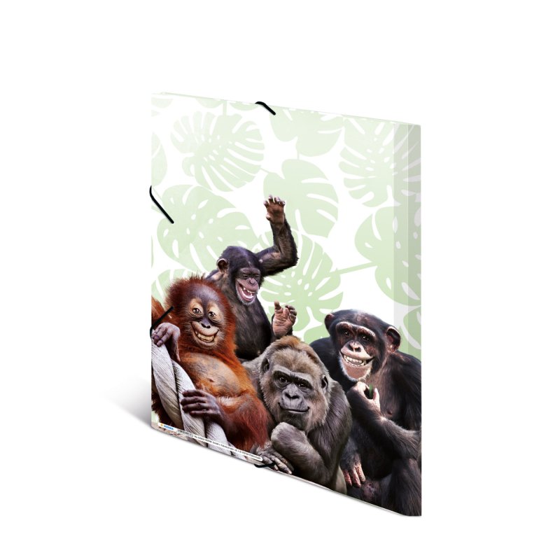 HERMA Monkey gang Polypropylene (PP) Multicolour A3