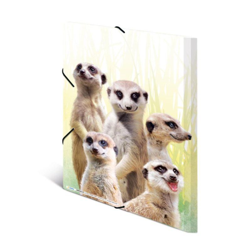 HERMA bande de suricates