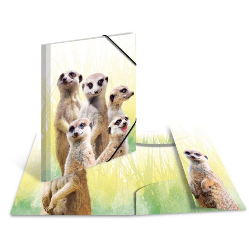 HERMA Chemise à élastiques Animaux exotiques, A3, suricates