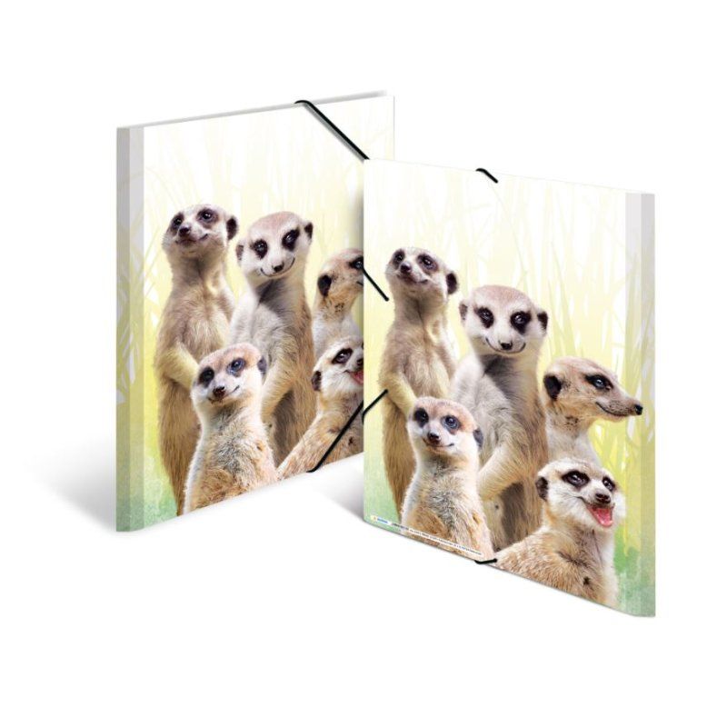 HERMA bande de suricates