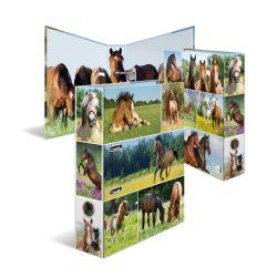 HERMA 19251 ring binder A4 Multicolour