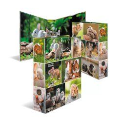 HERMA 19252 ring binder A4 Multicolour