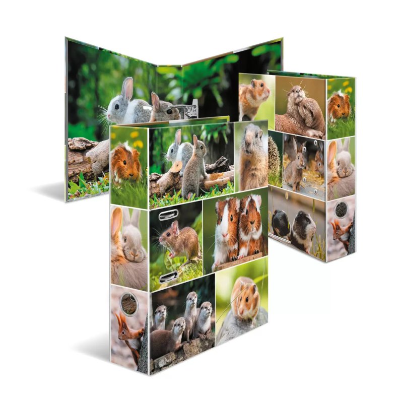 HERMA 19252 ring binder A4 Multicolour