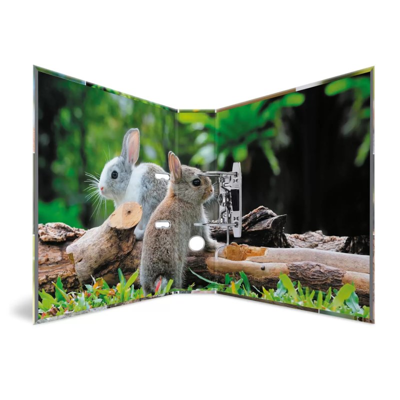 HERMA 19252 ring binder A4 Multicolour