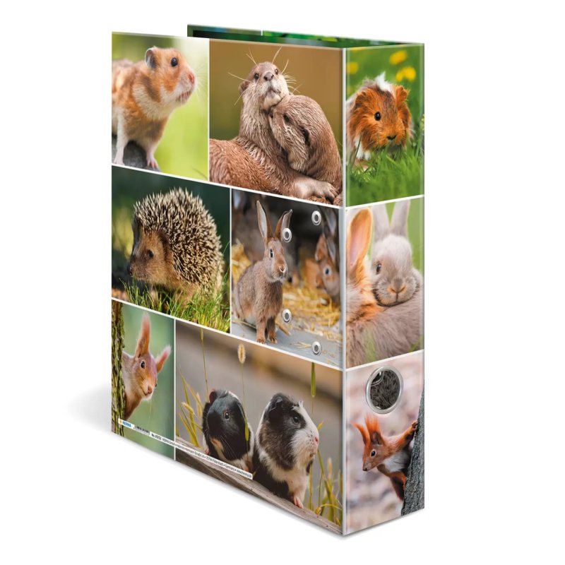 HERMA 19252 ring binder A4 Multicolour