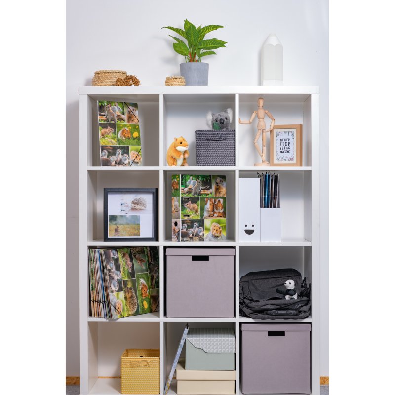 HERMA 19252 classeur à anneaux A4 Multicolore