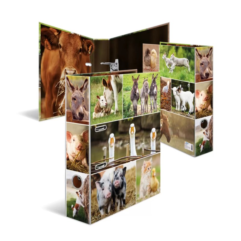 HERMA 19253 ring binder A4 Multicolour