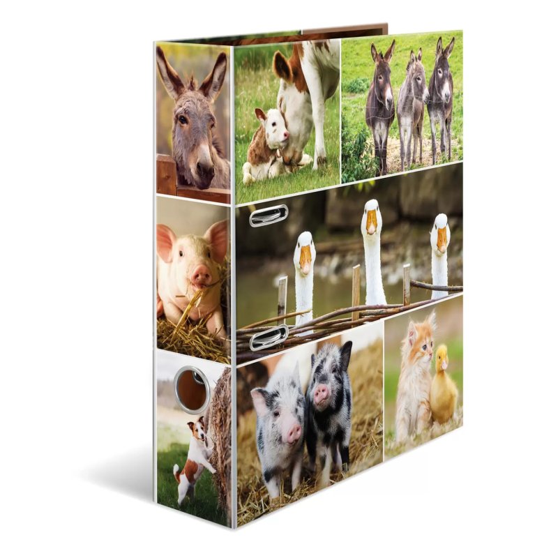 HERMA 19253 ring binder A4 Multicolour