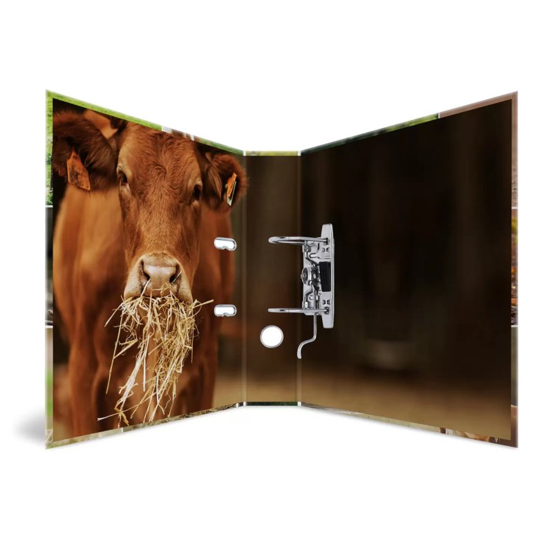 HERMA 19253 ring binder A4 Multicolour