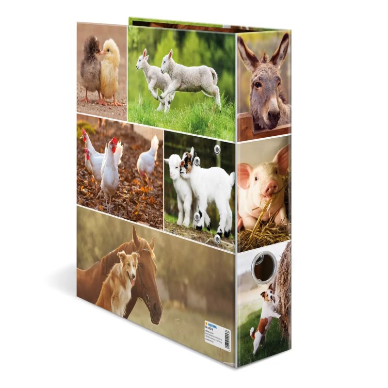 HERMA 19253 ring binder A4 Multicolour