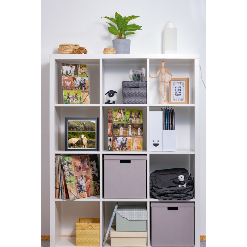 HERMA Classeur à levier "Monde animal", Animaux de ferme