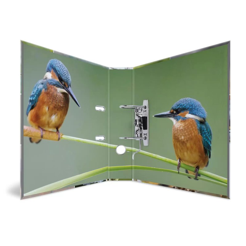 HERMA 19254 ring binder A4 Multicolour